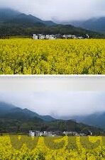 91麻豆精品av-答复全文内容
