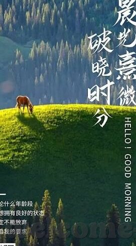 类似于糖心直播的app-寻找替代糖心直播的数字平台新选择