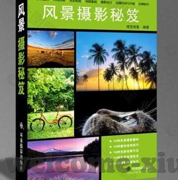 麻豆传媒苏娅-麻豆传媒苏娅，光影背后的艺术与深思